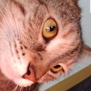 Meet your Posher, Ashleigh